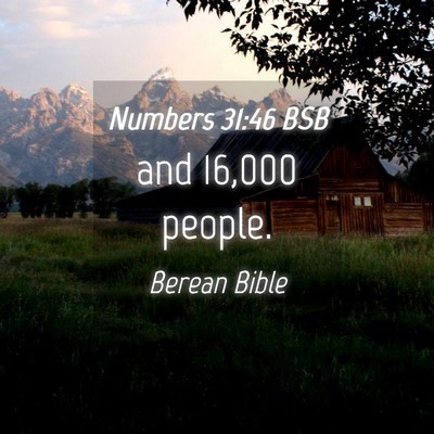 Picture 04 - Numbers 31:46 BSB - and 16,000 - Bible Verse Picture