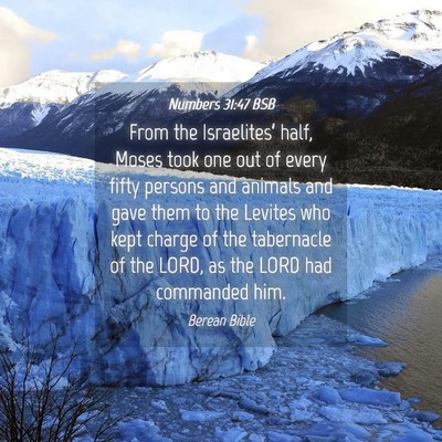 Picture 04 - Numbers 31:47 BSB - From the Israelites’ half, Moses took one out - Bible Verse Picture