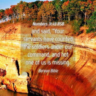 Picture 04 - Numbers 31:49 BSB - and said, “Your servants have counted the - Bible Verse Picture