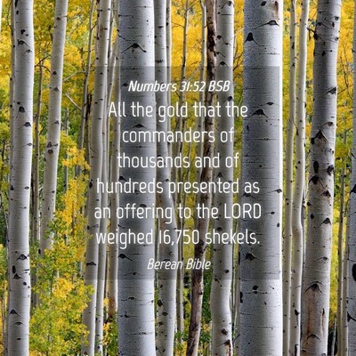 Picture 04 - Numbers 31:52 BSB - All the gold that the commanders of thousands and - Bible Verse Picture
