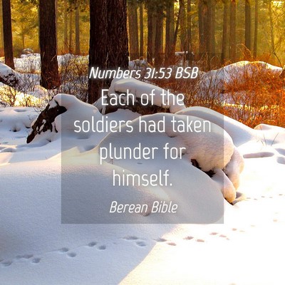 Picture 04 - Numbers 31:53 BSB - Each of the soldiers had taken plunder for - Bible Verse Picture