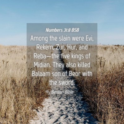 Picture 04 - Numbers 31:8 BSB - Among the slain were Evi, Rekem, Zur, Hur, and - Bible Verse Picture