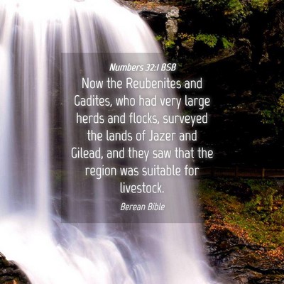 Picture 04 - Numbers 32:1 BSB - Now the Reubenites and Gadites, who had very - Bible Verse Picture