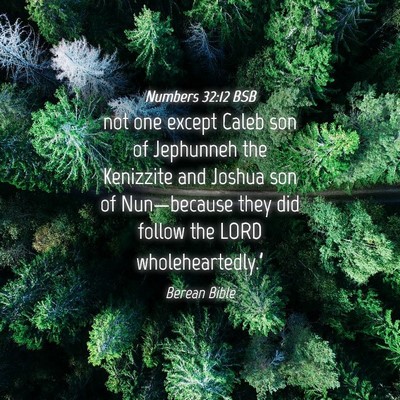 Picture 04 - Numbers 32:12 BSB - not one except Caleb son of Jephunneh the - Bible Verse Picture