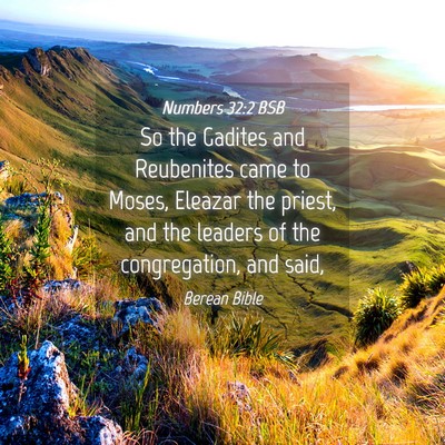 Picture 04 - Numbers 32:2 BSB - So the Gadites and Reubenites came to Moses, - Bible Verse Picture