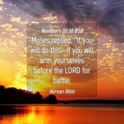 Picture 04 - Numbers 32:20 BSB - Moses replied, “If you will do this—if you - Bible Verse Picture