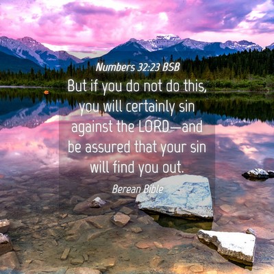 Picture 04 - Numbers 32:23 BSB - But if you do not do this, you will certainly sin - Bible Verse Picture