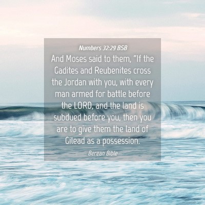 Picture 04 - Numbers 32:29 BSB - And Moses said to them, “If the Gadites and - Bible Verse Picture