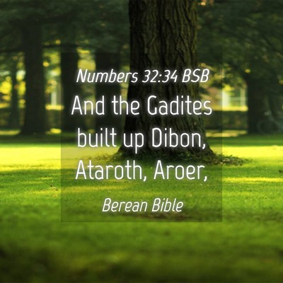 Picture 04 - Numbers 32:34 BSB - And the Gadites built up Dibon, Ataroth, - Bible Verse Picture