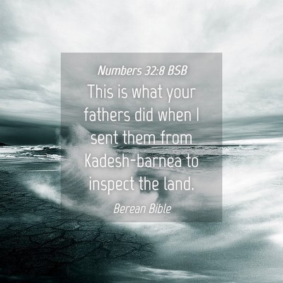 Picture 04 - Numbers 32:8 BSB - This is what your fathers did when I sent them - Bible Verse Picture