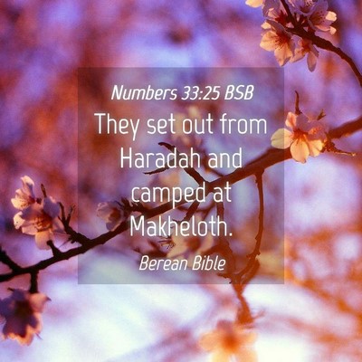 Picture 04 - Numbers 33:25 BSB - They set out from Haradah and camped at - Bible Verse Picture