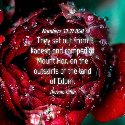 Picture 04 - Numbers 33:37 BSB - They set out from Kadesh and camped at Mount Hor, - Bible Verse Picture