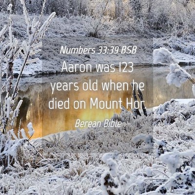 Picture 04 - Numbers 33:39 BSB - Aaron was 123 years old when he died on Mount - Bible Verse Picture