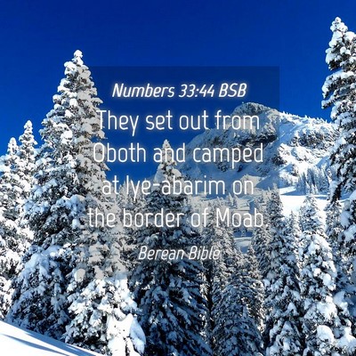 Picture 04 - Numbers 33:44 BSB - They set out from Oboth and camped at Iye-abarim - Bible Verse Picture