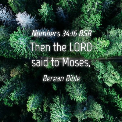 Picture 04 - Numbers 34:16 BSB - Then the LORD said to - Bible Verse Picture