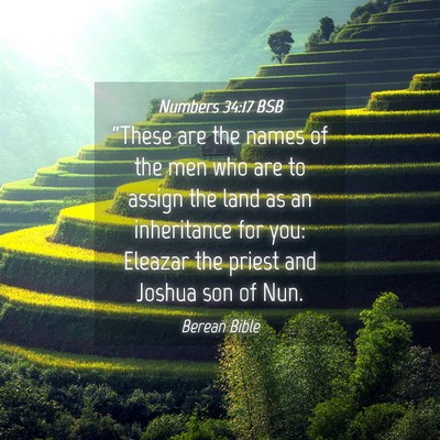 Picture 04 - Numbers 34:17 BSB - “These are the names of the men who are to - Bible Verse Picture