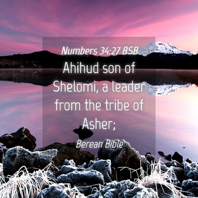 Picture 04 - Numbers 34:27 BSB - Ahihud son of Shelomi, a leader from the tribe of - Bible Verse Picture