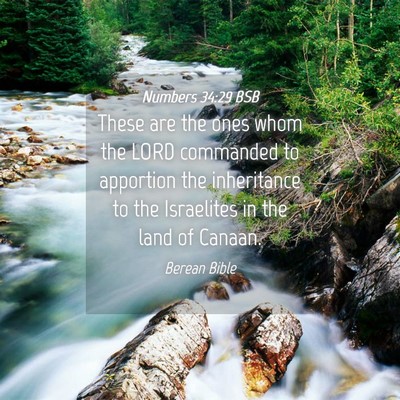 Picture 04 - Numbers 34:29 BSB - These are the ones whom the LORD commanded to - Bible Verse Picture