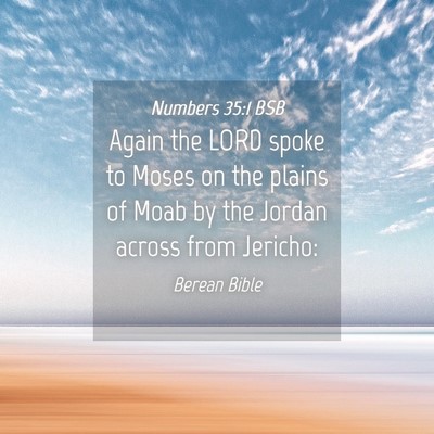 Picture 04 - Numbers 35:1 BSB - Again the LORD spoke to Moses on the plains of - Bible Verse Picture