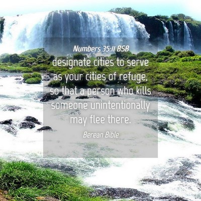Picture 04 - Numbers 35:11 BSB - designate cities to serve as your cities of - Bible Verse Picture