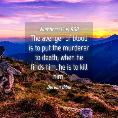 Picture 04 - Numbers 35:19 BSB - The avenger of blood is to put the murderer to - Bible Verse Picture