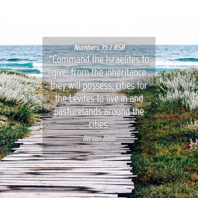 Picture 04 - Numbers 35:2 BSB - “Command the Israelites to give, from the - Bible Verse Picture