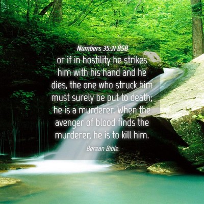 Picture 04 - Numbers 35:21 BSB - or if in hostility he strikes him with his hand - Bible Verse Picture