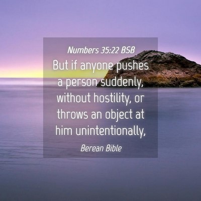Picture 04 - Numbers 35:22 BSB - But if anyone pushes a person suddenly, without - Bible Verse Picture