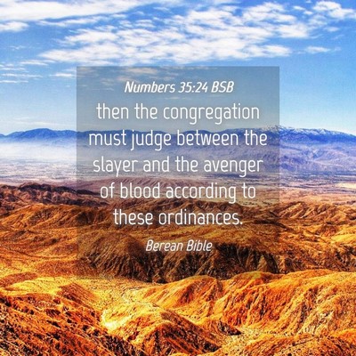 Picture 04 - Numbers 35:24 BSB - then the congregation must judge between the - Bible Verse Picture
