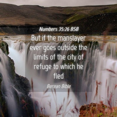 Picture 04 - Numbers 35:26 BSB - But if the manslayer ever goes outside the limits - Bible Verse Picture