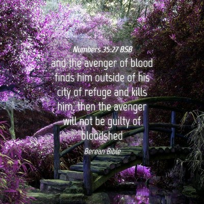 Picture 04 - Numbers 35:27 BSB - and the avenger of blood finds him outside of his - Bible Verse Picture