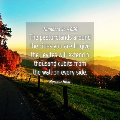 Picture 04 - Numbers 35:4 BSB - The pasturelands around the cities you are to - Bible Verse Picture