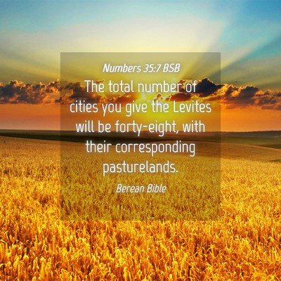 Picture 04 - Numbers 35:7 BSB - The total number of cities you give the Levites - Bible Verse Picture
