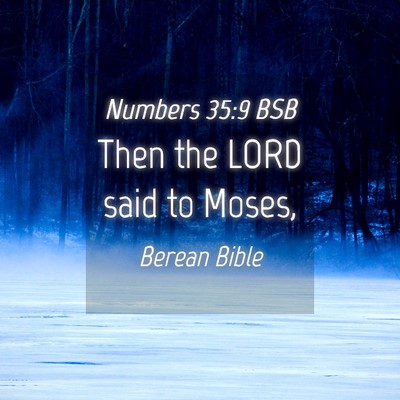 Picture 04 - Numbers 35:9 BSB - Then the LORD said to - Bible Verse Picture