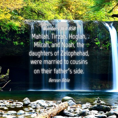 Picture 04 - Numbers 36:11 BSB - Mahlah, Tirzah, Hoglah, Milcah, and Noah, the - Bible Verse Picture