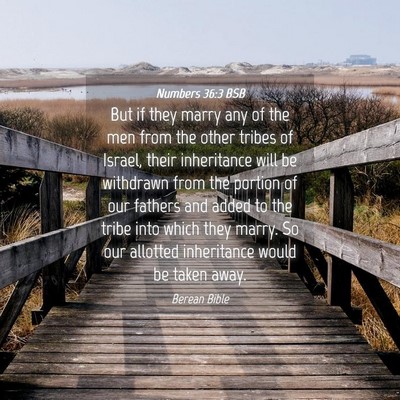 Picture 04 - Numbers 36:3 BSB - But if they marry any of the men from the other - Bible Verse Picture