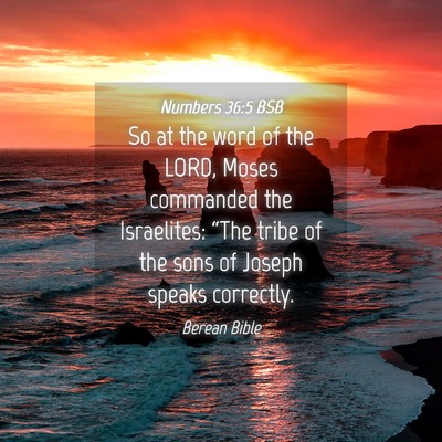 Picture 04 - Numbers 36:5 BSB - So at the word of the LORD, Moses commanded the - Bible Verse Picture