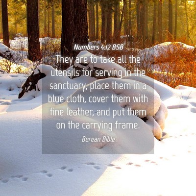 Picture 04 - Numbers 4:12 BSB - They are to take all the utensils for serving in - Bible Verse Picture