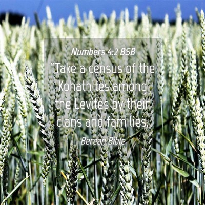 Picture 04 - Numbers 4:2 BSB - “Take a census of the Kohathites among the - Bible Verse Picture