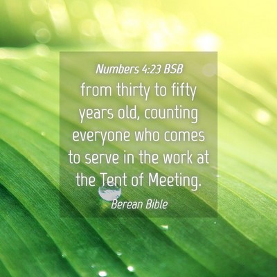 Picture 04 - Numbers 4:23 BSB - from thirty to fifty years old, counting everyone - Bible Verse Picture