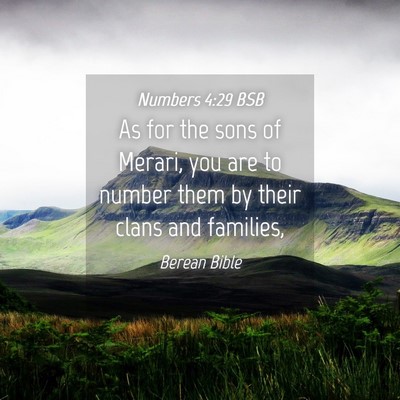 Picture 04 - Numbers 4:29 BSB - As for the sons of Merari, you are to number them - Bible Verse Picture