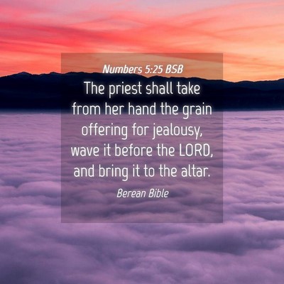 Picture 04 - Numbers 5:25 BSB - The priest shall take from her hand the grain - Bible Verse Picture