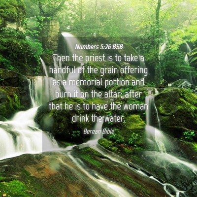 Picture 04 - Numbers 5:26 BSB - Then the priest is to take a handful of the grain - Bible Verse Picture