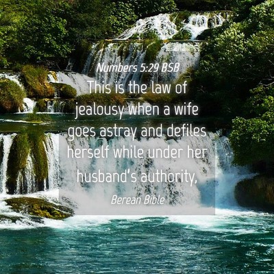 Picture 04 - Numbers 5:29 BSB - This is the law of jealousy when a wife goes - Bible Verse Picture