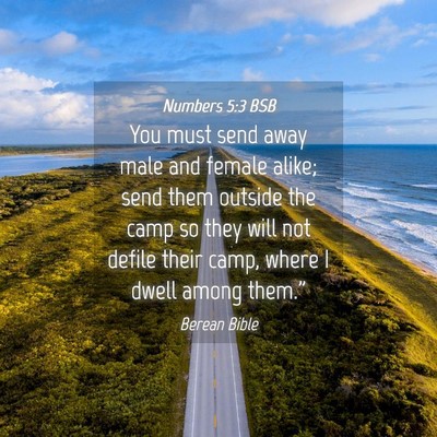 Picture 04 - Numbers 5:3 BSB - You must send away male and female alike; send - Bible Verse Picture