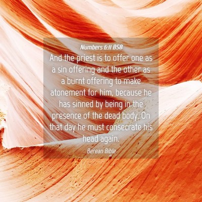 Picture 04 - Numbers 6:11 BSB - And the priest is to offer one as a sin offering - Bible Verse Picture