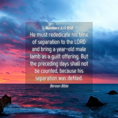 Picture 04 - Numbers 6:12 BSB - He must rededicate his time of separation to the - Bible Verse Picture