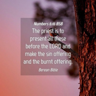 Picture 04 - Numbers 6:16 BSB - The priest is to present all these before the - Bible Verse Picture