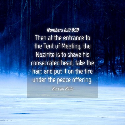 Picture 04 - Numbers 6:18 BSB - Then at the entrance to the Tent of Meeting, the - Bible Verse Picture