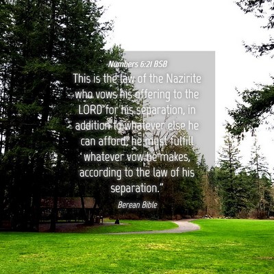 Picture 04 - Numbers 6:21 BSB - This is the law of the Nazirite who vows his - Bible Verse Picture